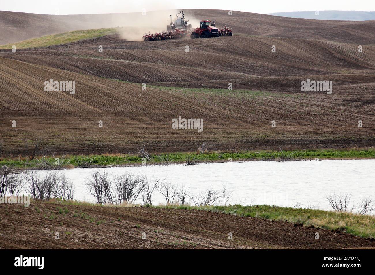 Seeding in Saskatchewan Stock Photo - Alamy