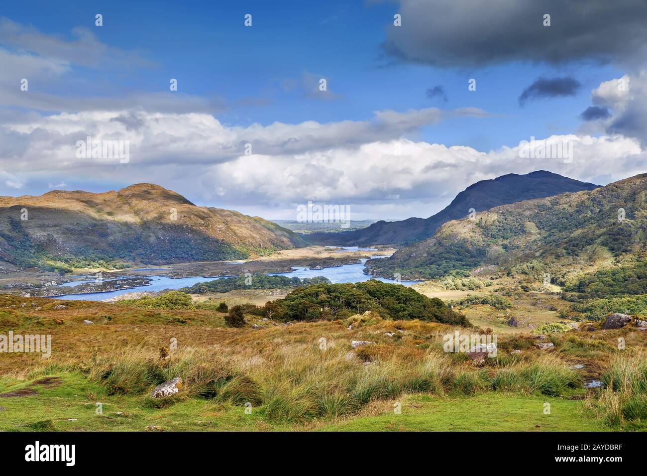 Ladies View, Ireland Stock Photo Alamy