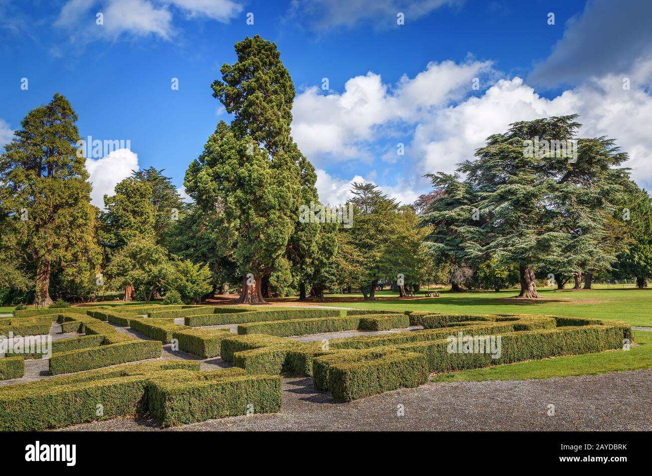 Phoenix park hi-res stock photography and images - Alamy - Phoenix Park
