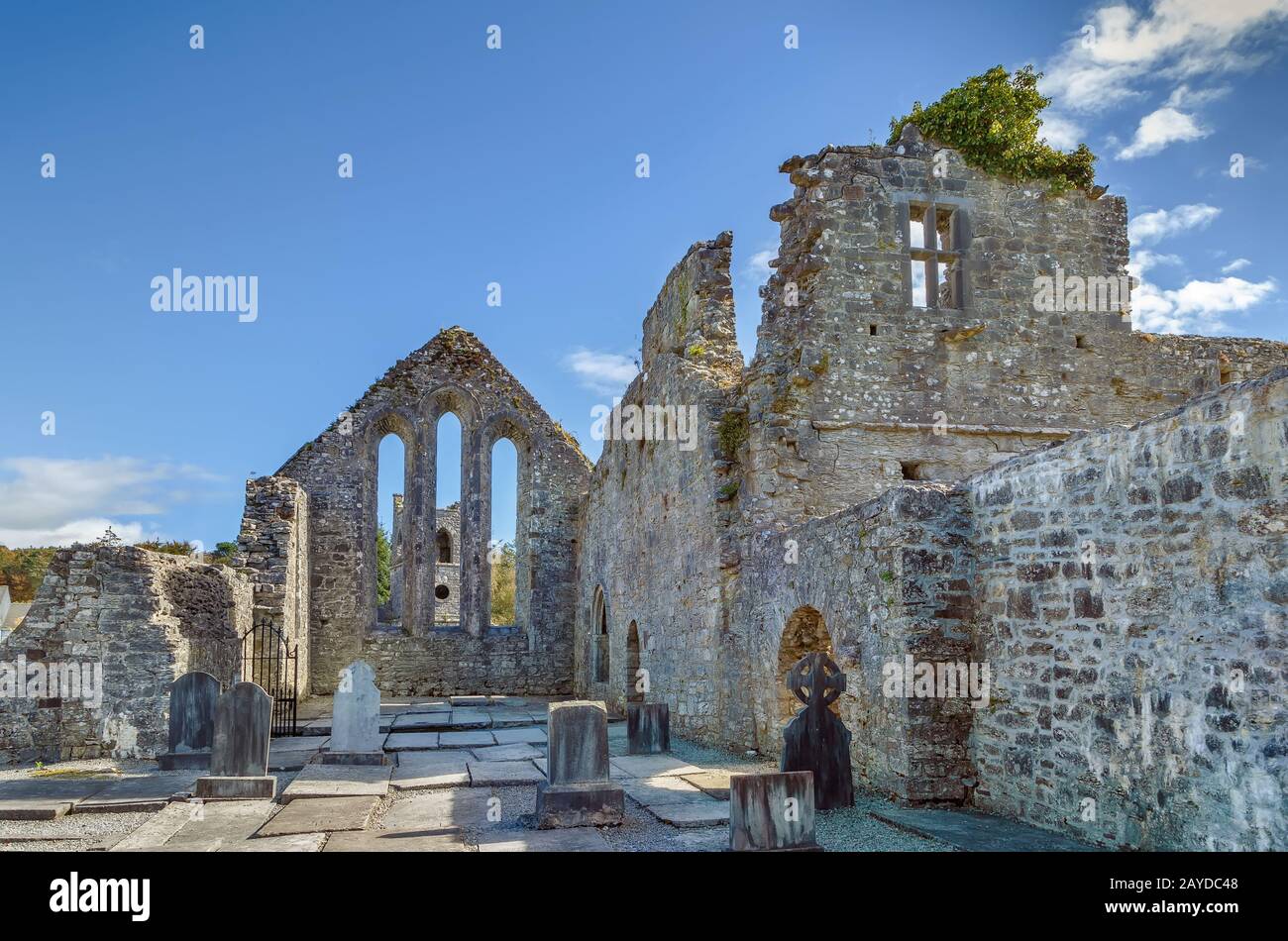 Cong Abbey, Ireland Stock Photo