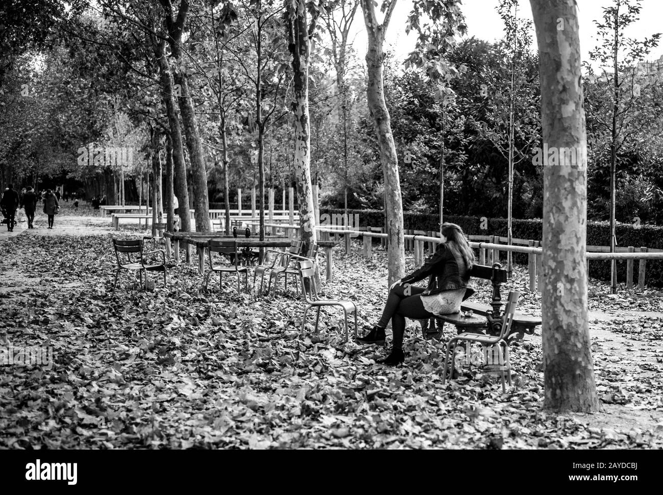 PARIS FRANCE JARDIN DU LUXEMBOURG - FALL SEASON SCENE WITH A YOUNG WOMAN SEATED ON A BENCH OF THE PARK - PARIS GARDEN AND PARC - PARIS WOMAN - BLACK AND WHITE PHOTOGRAPHY © Frédéric BEAUMONT Stock Photo
