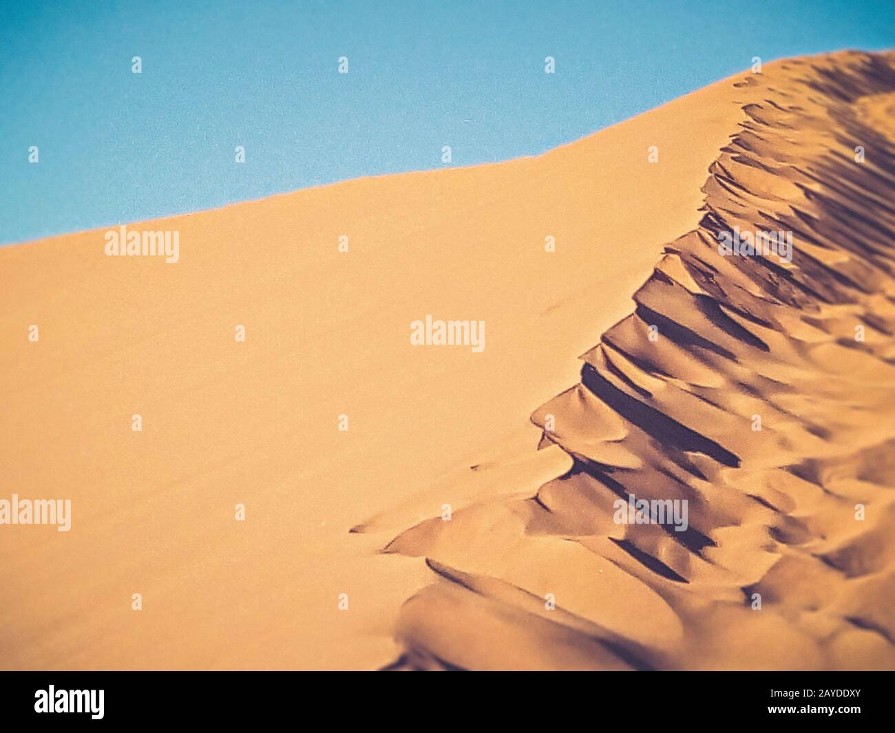 sand dune in Namibia desert Stock Photo