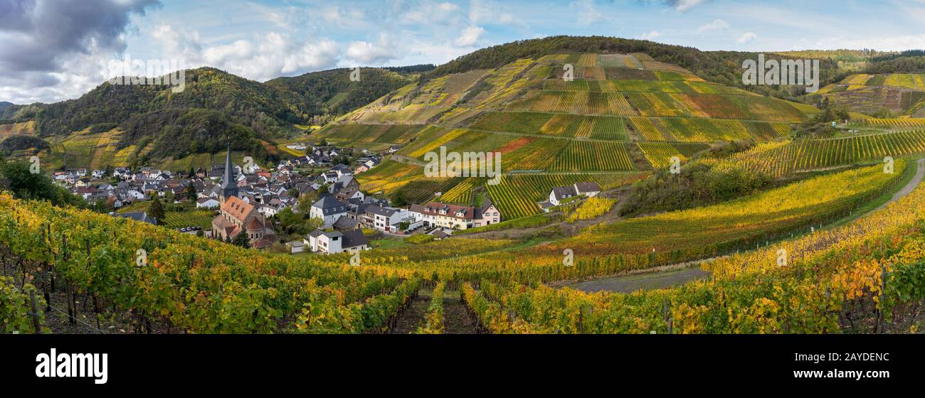 The golden autumn on the red wine trail in the Ahr valley Stock Photo