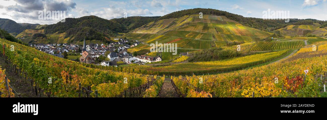 The golden autumn on the red wine trail in the Ahr valley Stock Photo