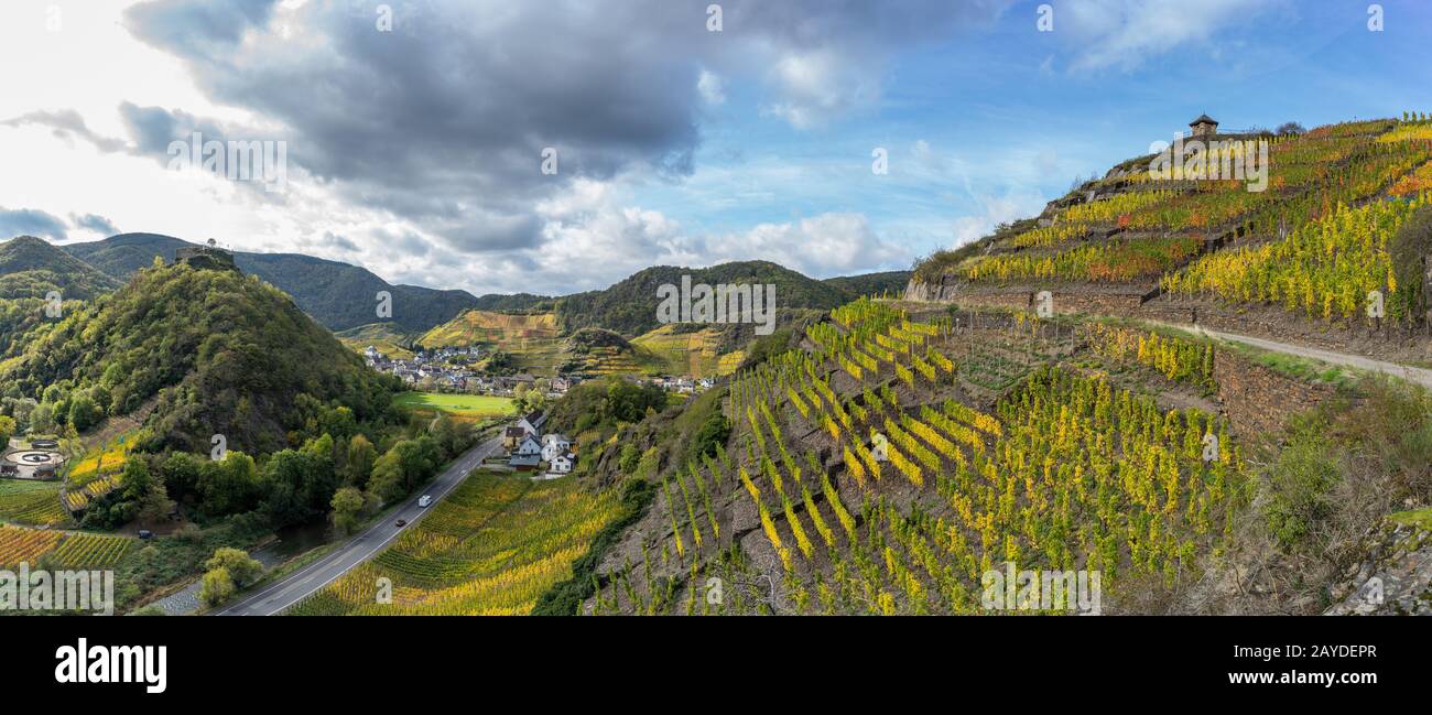 The golden autumn on the red wine trail in the Ahr valley Stock Photo