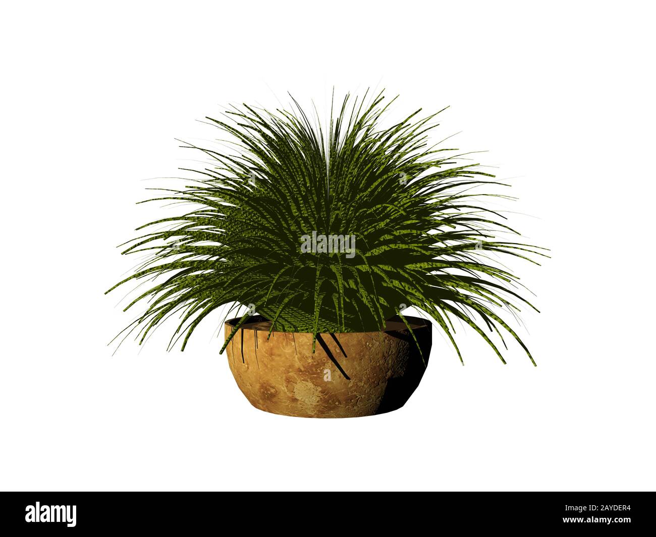 green potted plant with bushy leaves Stock Photo Alamy