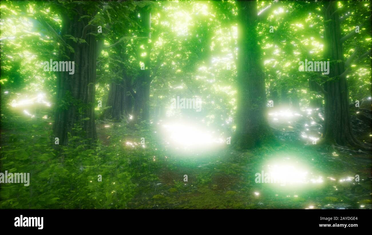 8k forest hi-res stock photography and images - Alamy