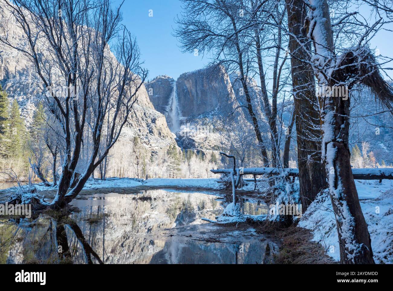 Winter in Yosemite Stock Photo Alamy — free download