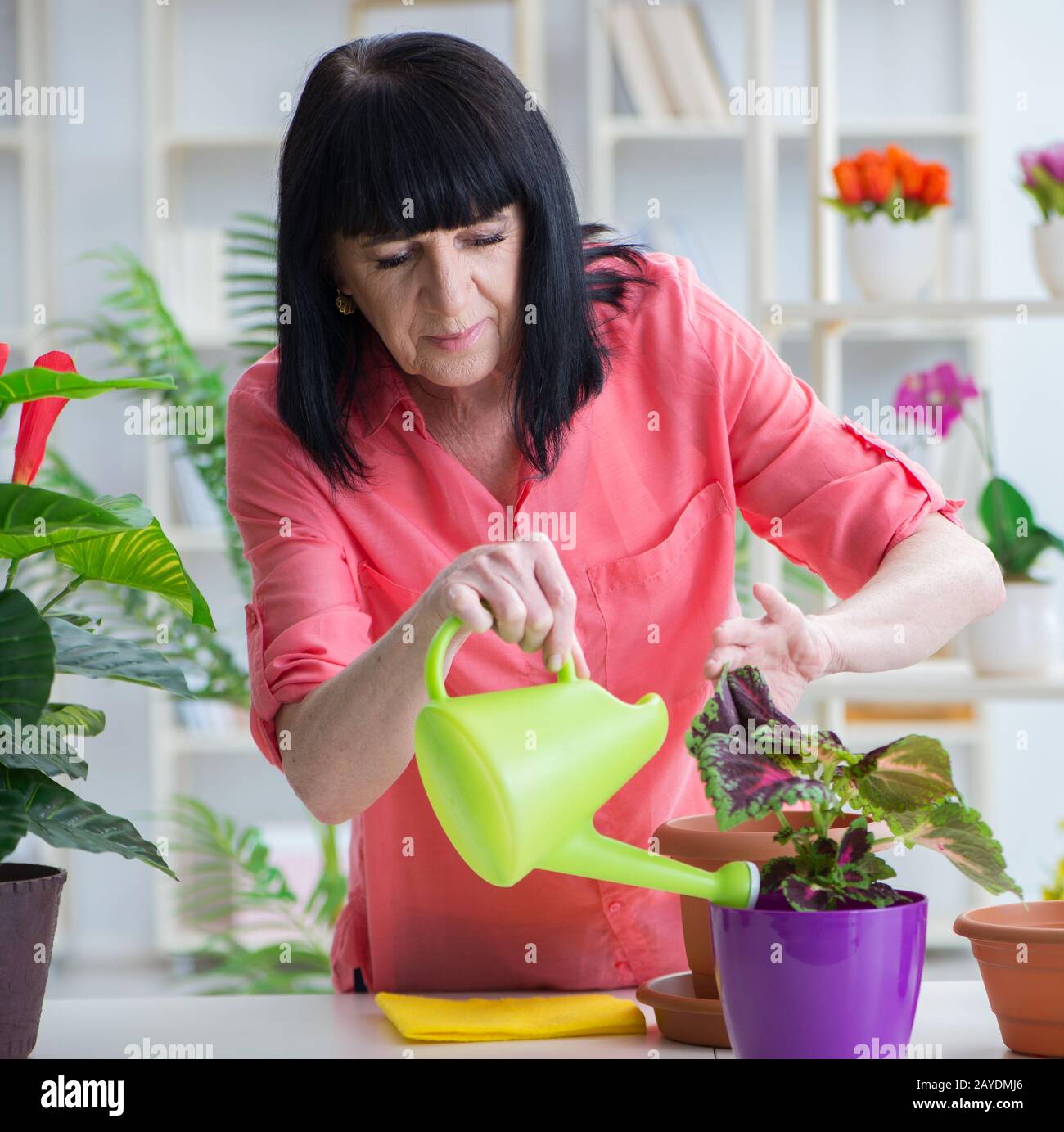 Woman florist working in the flower shop Stock Photo