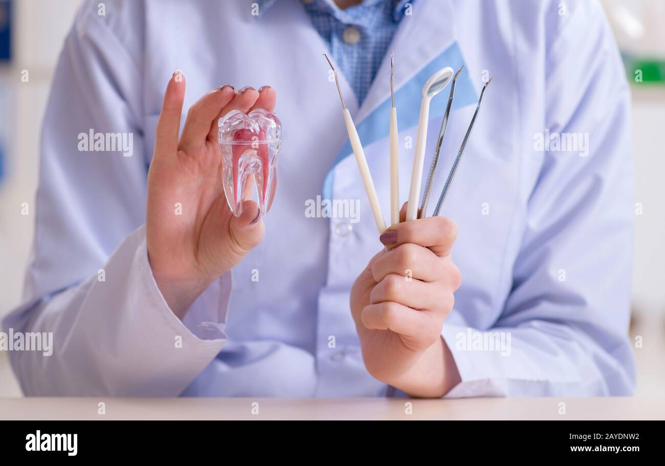 Tooth Working Dentist practicing work on tooth model Stock Photo - Alamy