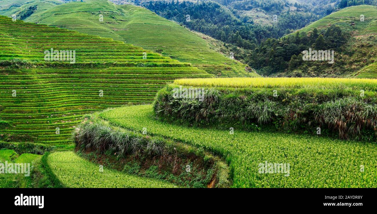 Rice filed terrace in the countryside of Dazhai ,Shanxi province ,China Stock Photo