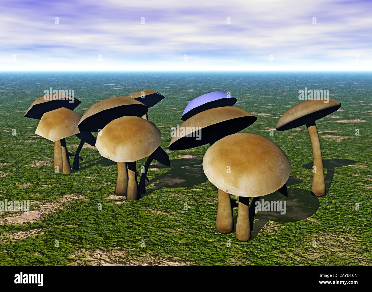 brown mushrooms grow in a meadow Stock Photo