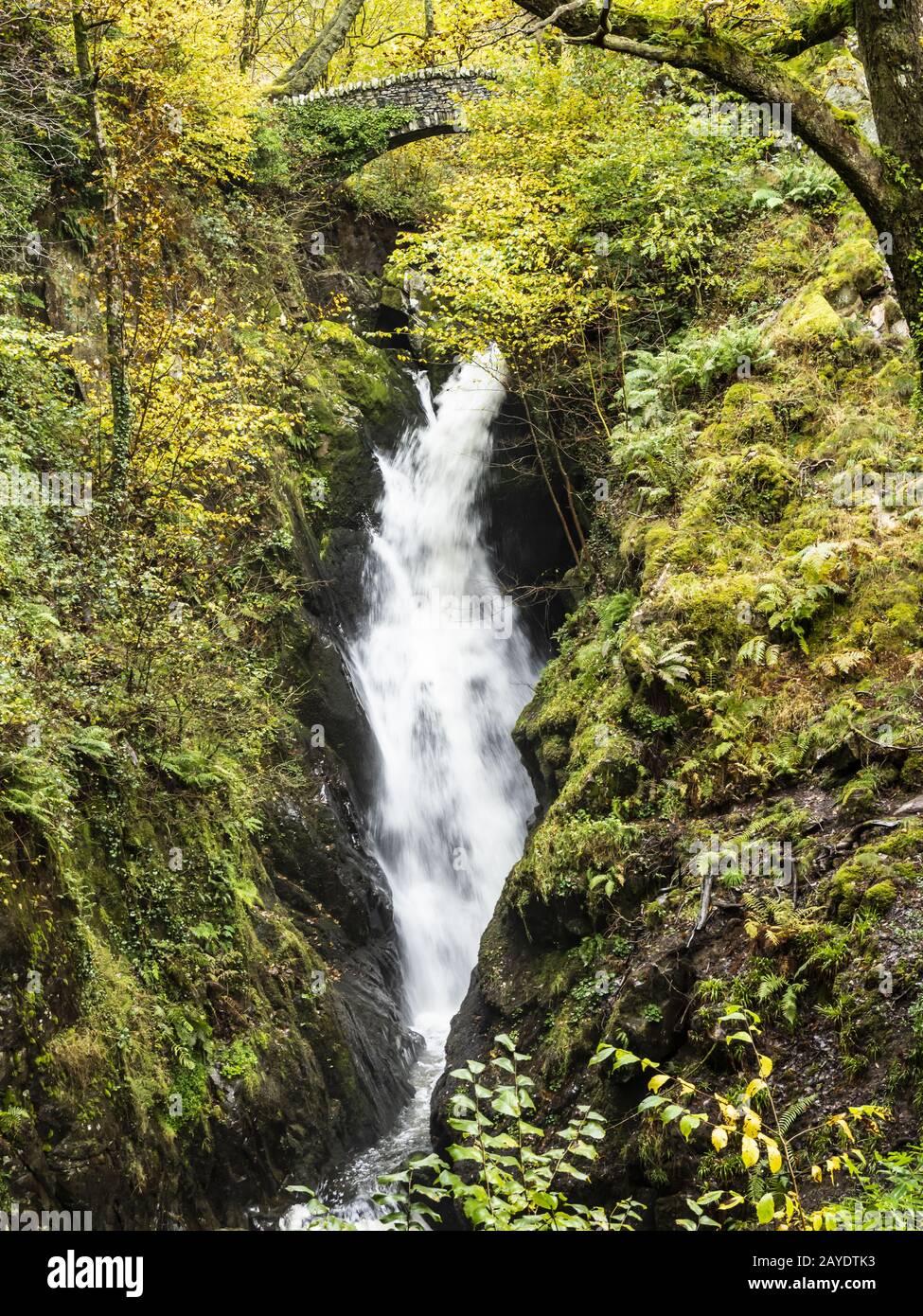 Lake District Aira Force Waterfalls Stock Photo Alamy