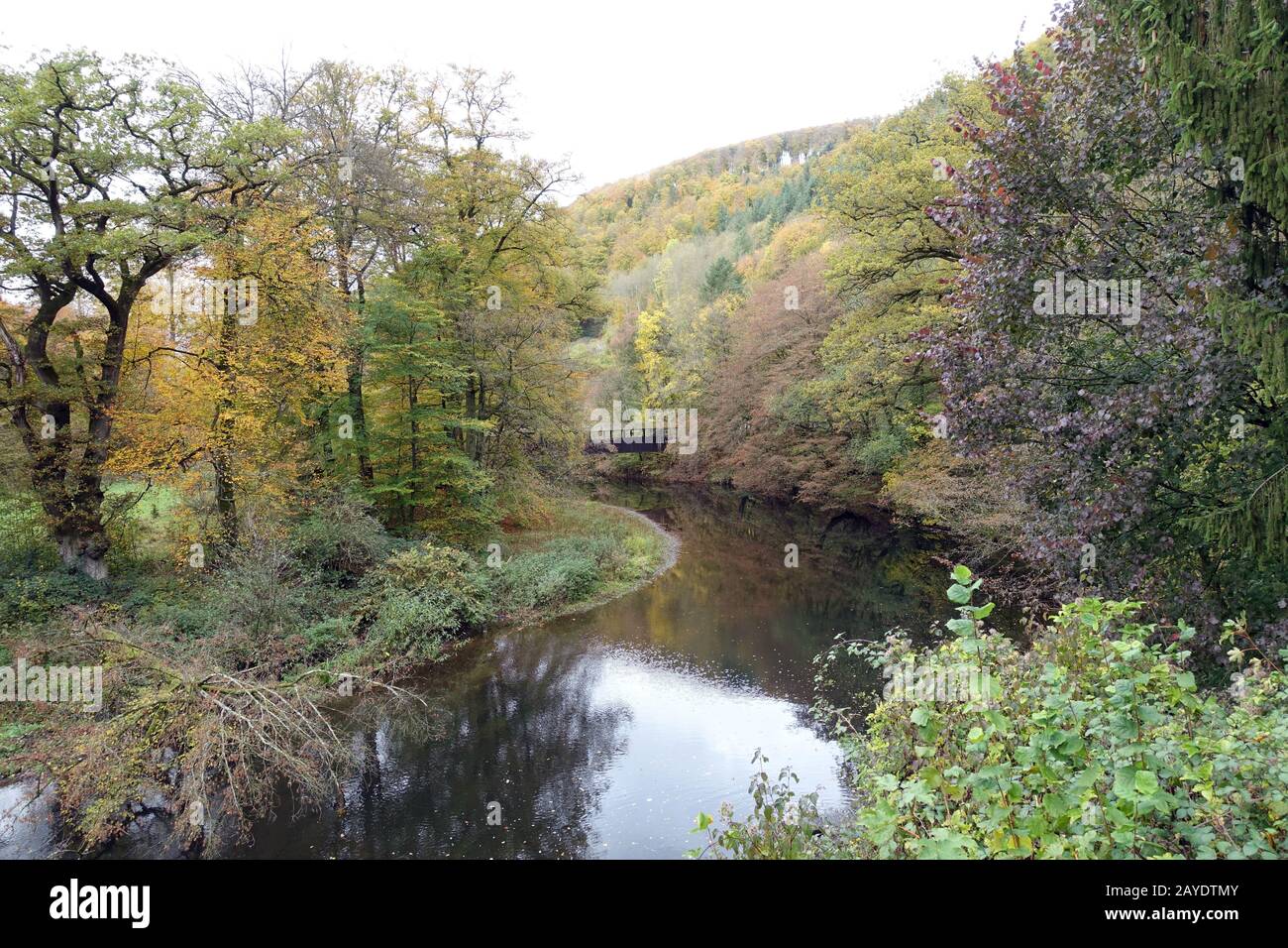 Autumn forest at the Wied after the watermill at the Laubach, Neuwied, Rhineland-Palatinate, Germany Stock Photo