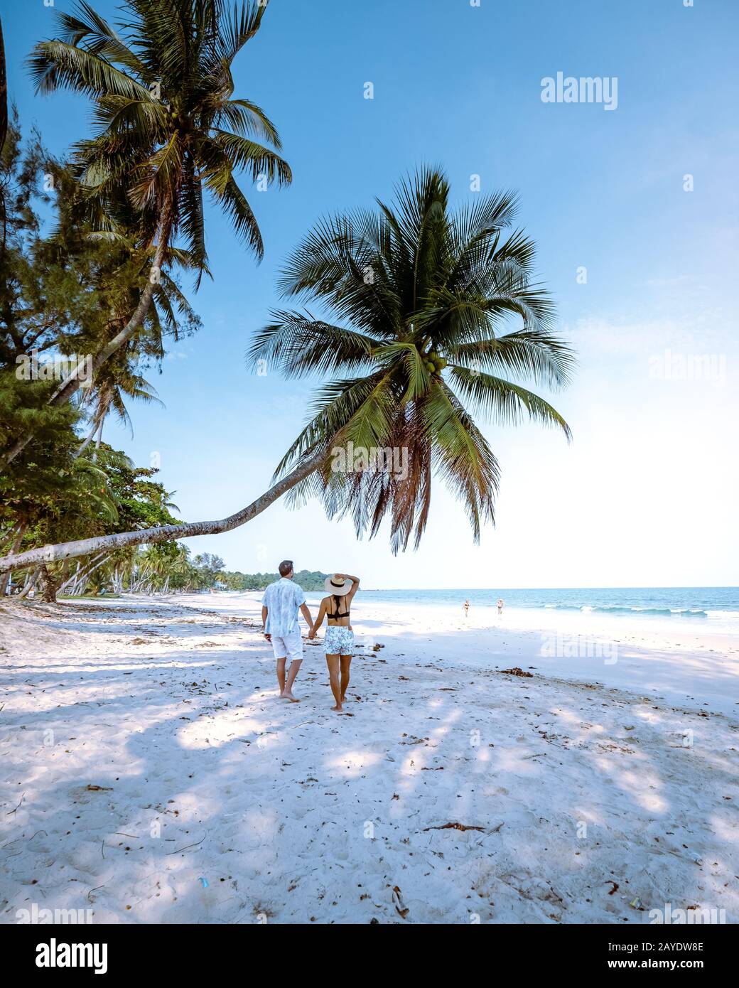 Wua Laen beach Chumphon area Thailand, palm tree hanging over the beach with couple on vacation in Thailand Asia Stock Photo