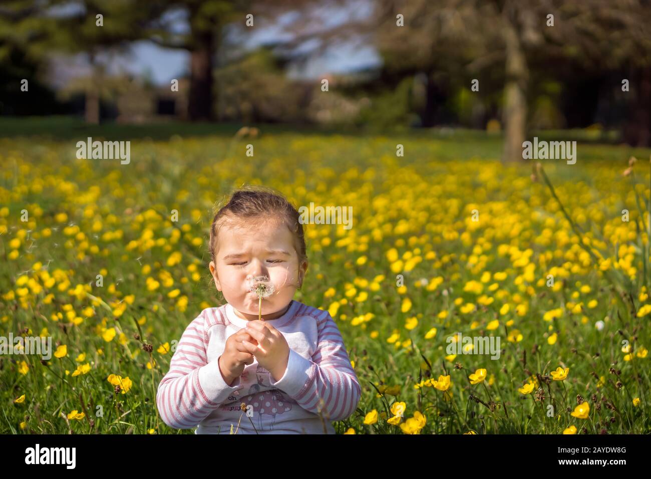 Young girl blowing dandelion on meadow, summer day, blurred background Stock Photo