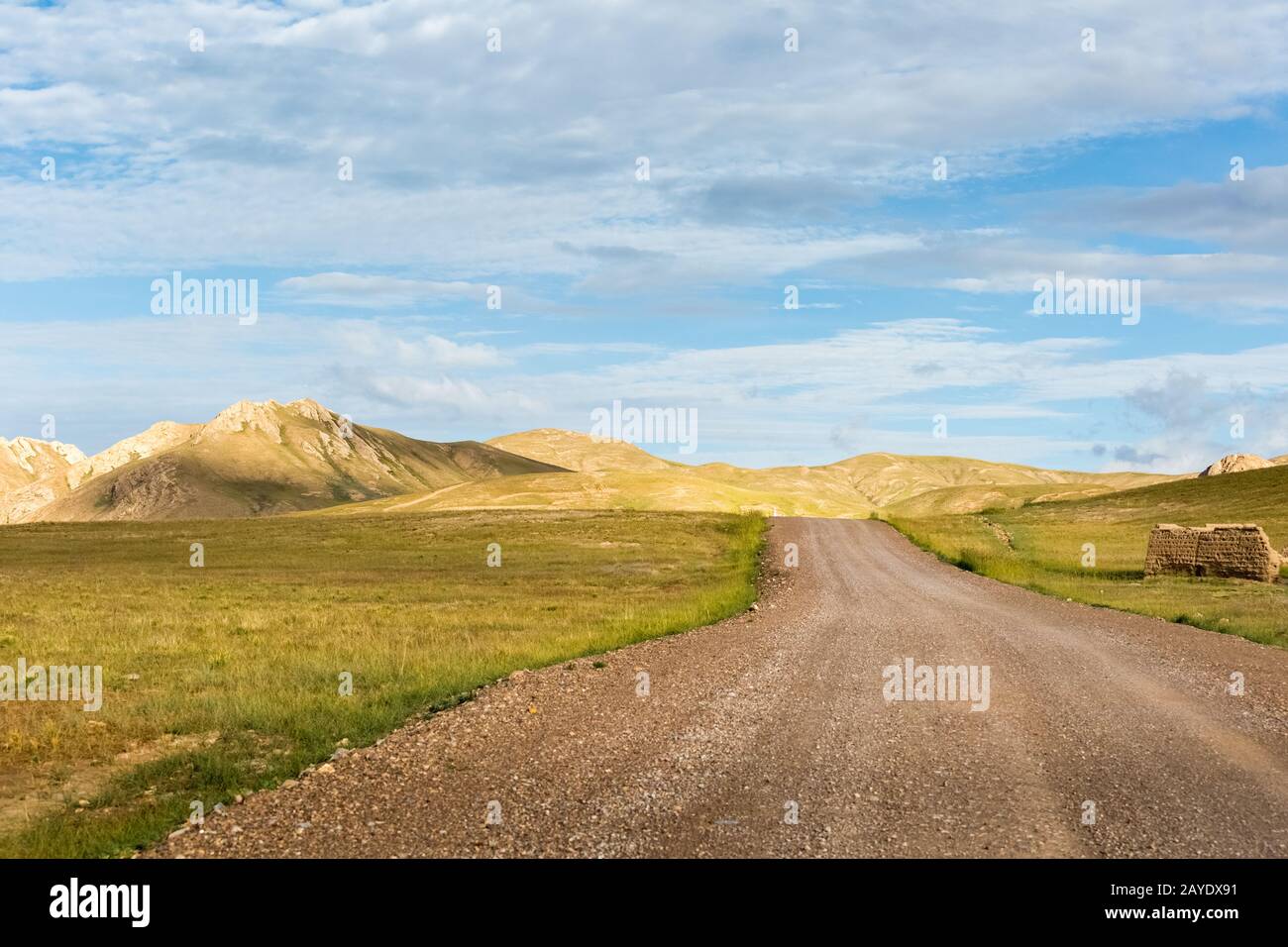 gravel dirt road on nature reserve Stock Photo