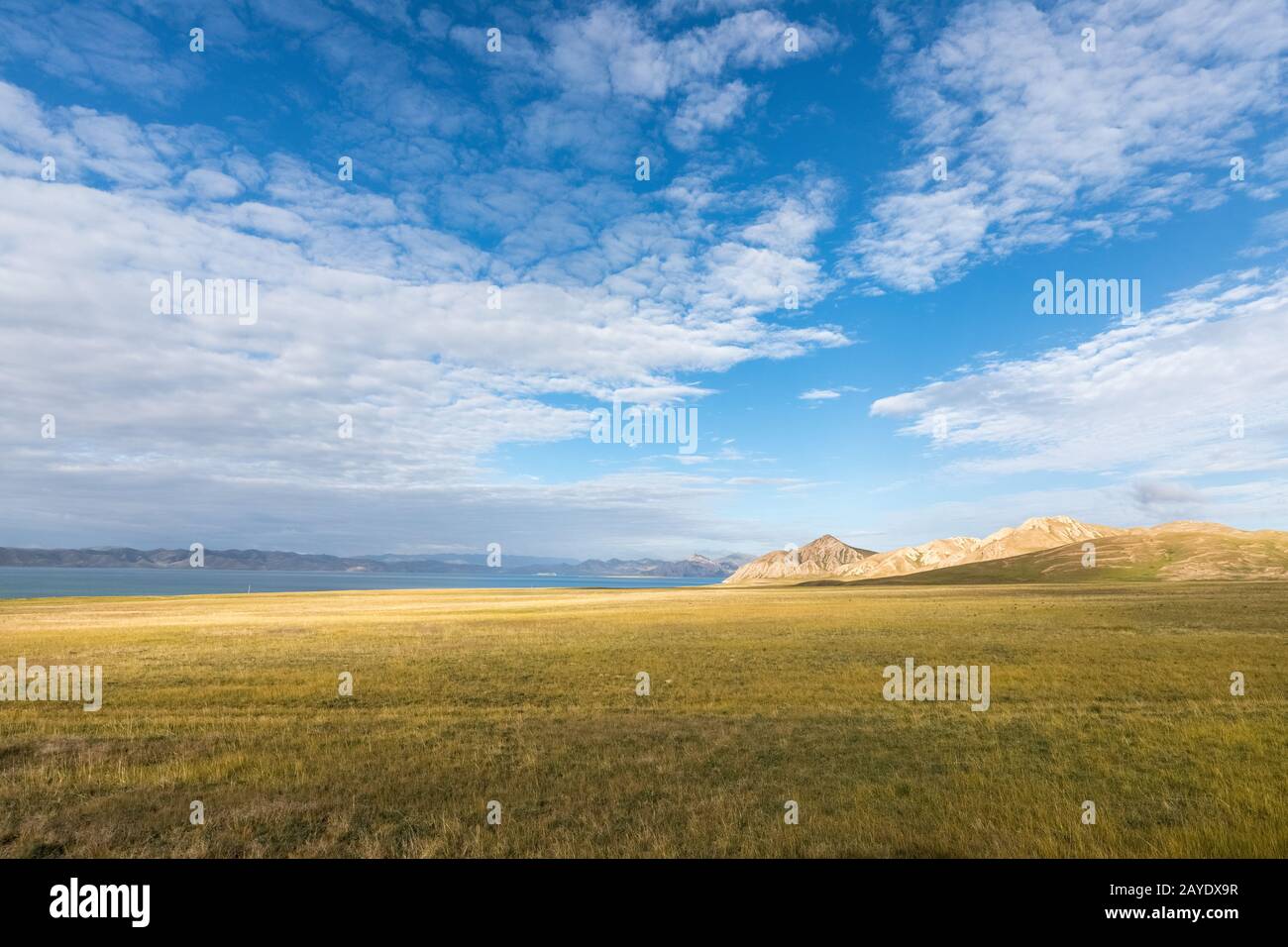 plateau meadow and lake against a blue sky Stock Photo