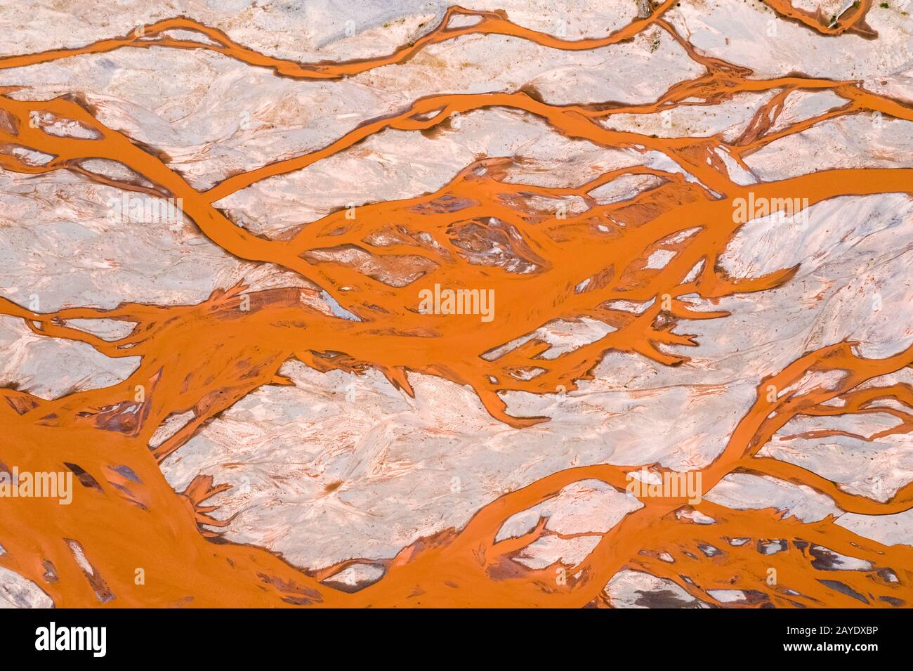branching orange riverbed closeup Stock Photo