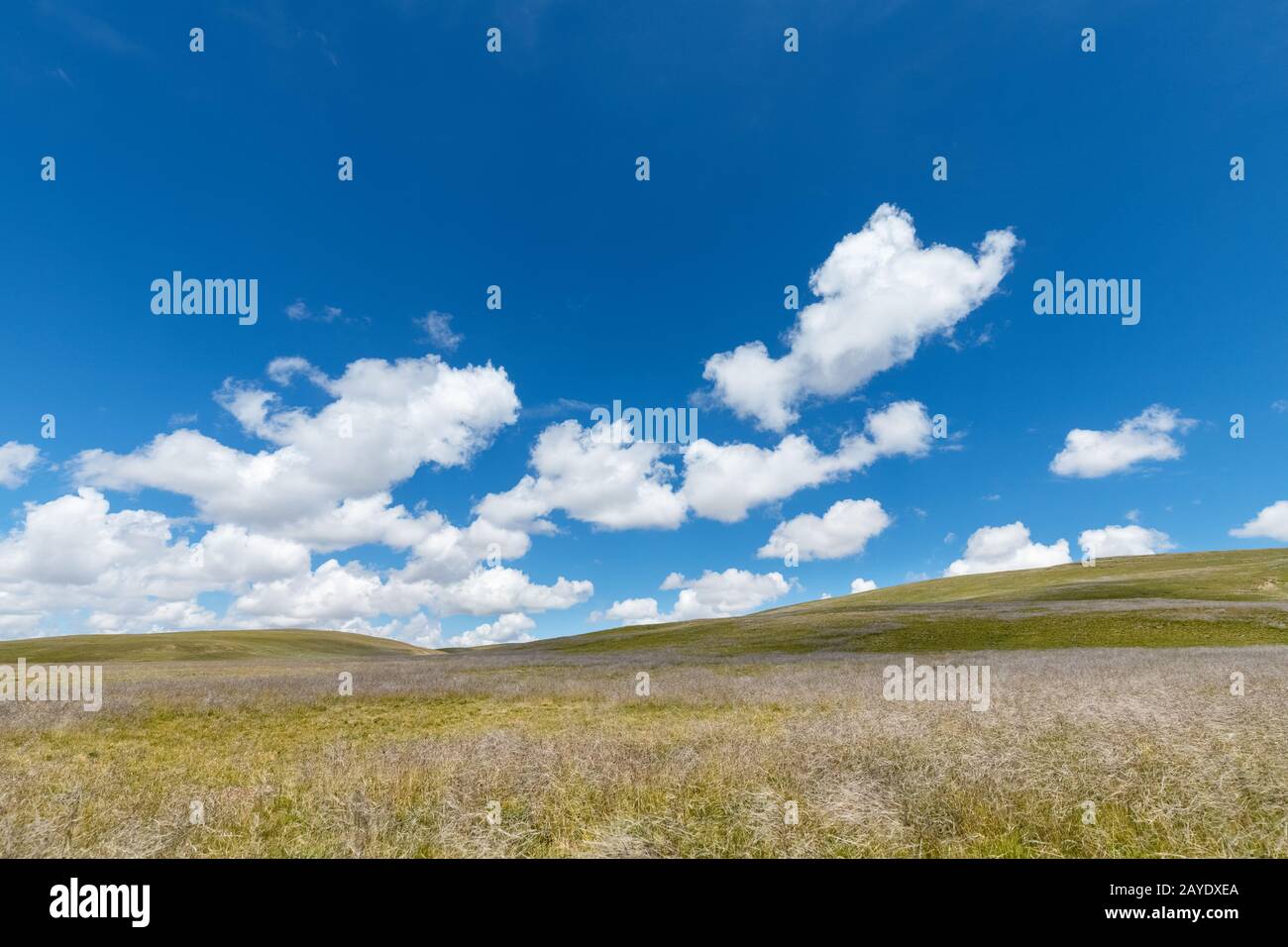 blue sky and grassland Stock Photo