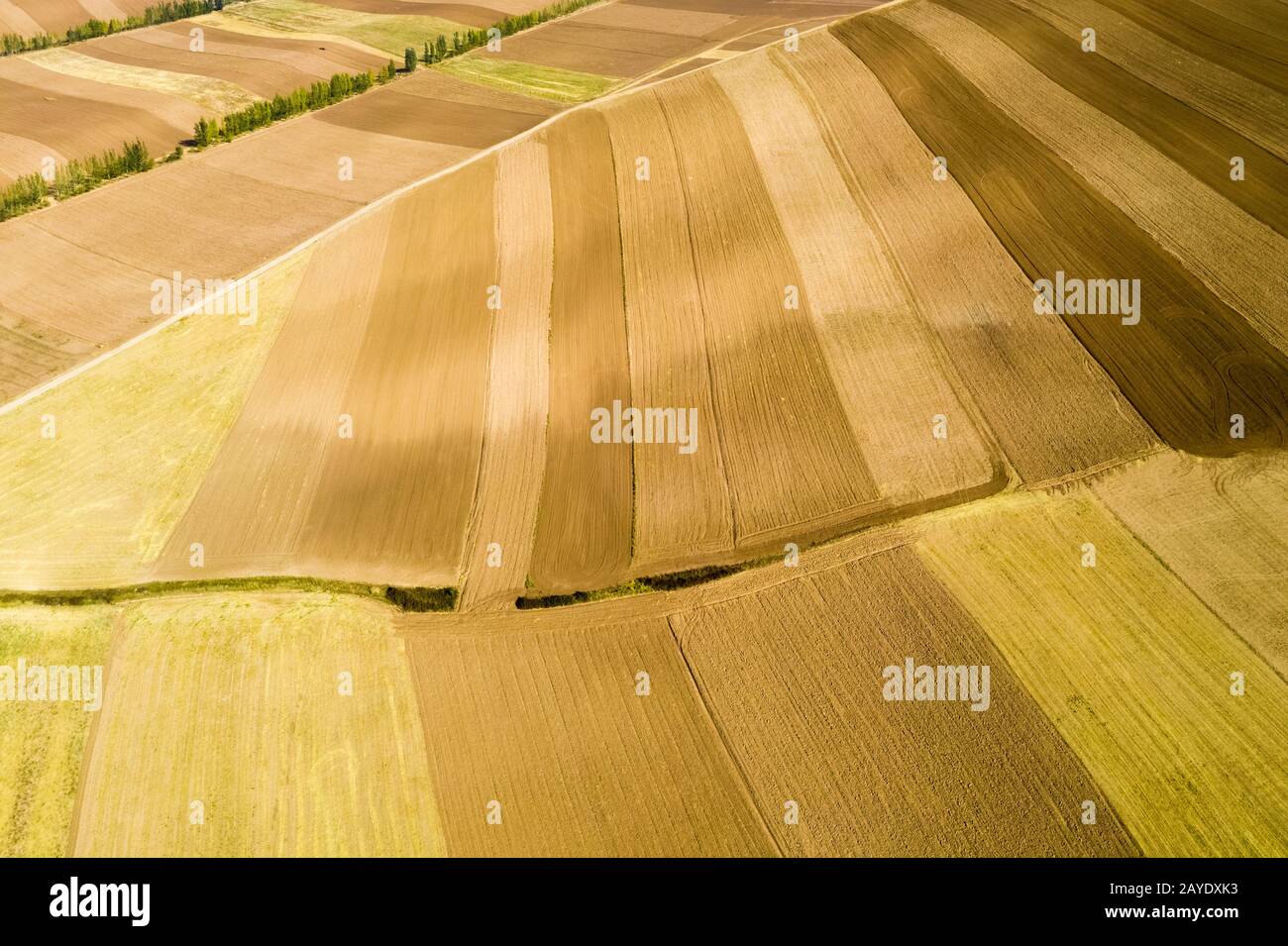 farmland texture background in autumn Stock Photo