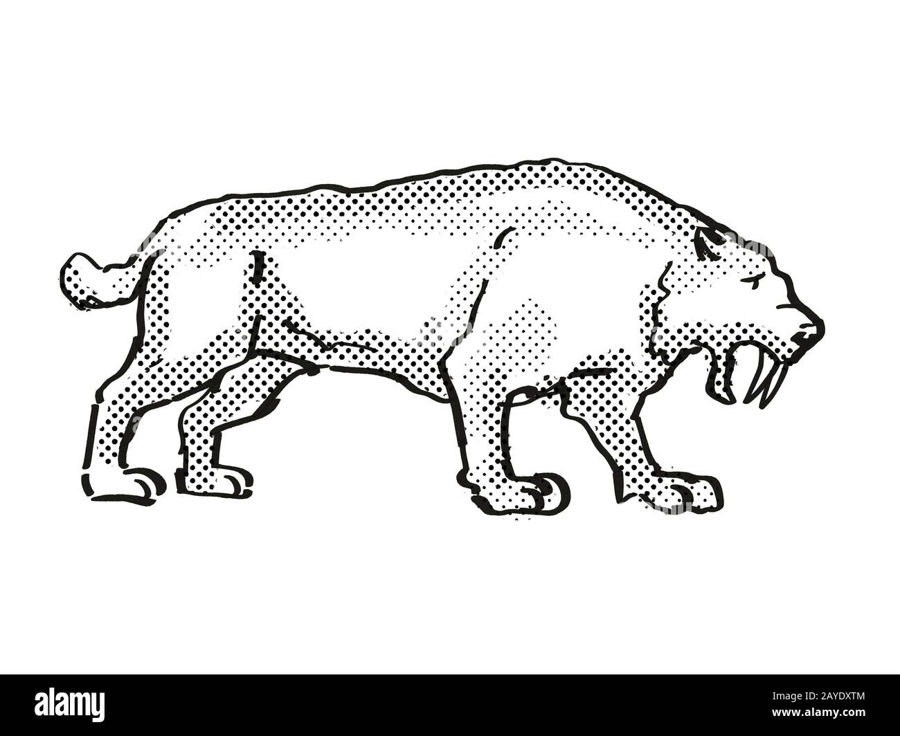 Smilidon Populator Extinct North American Wildlife Cartoon Drawing