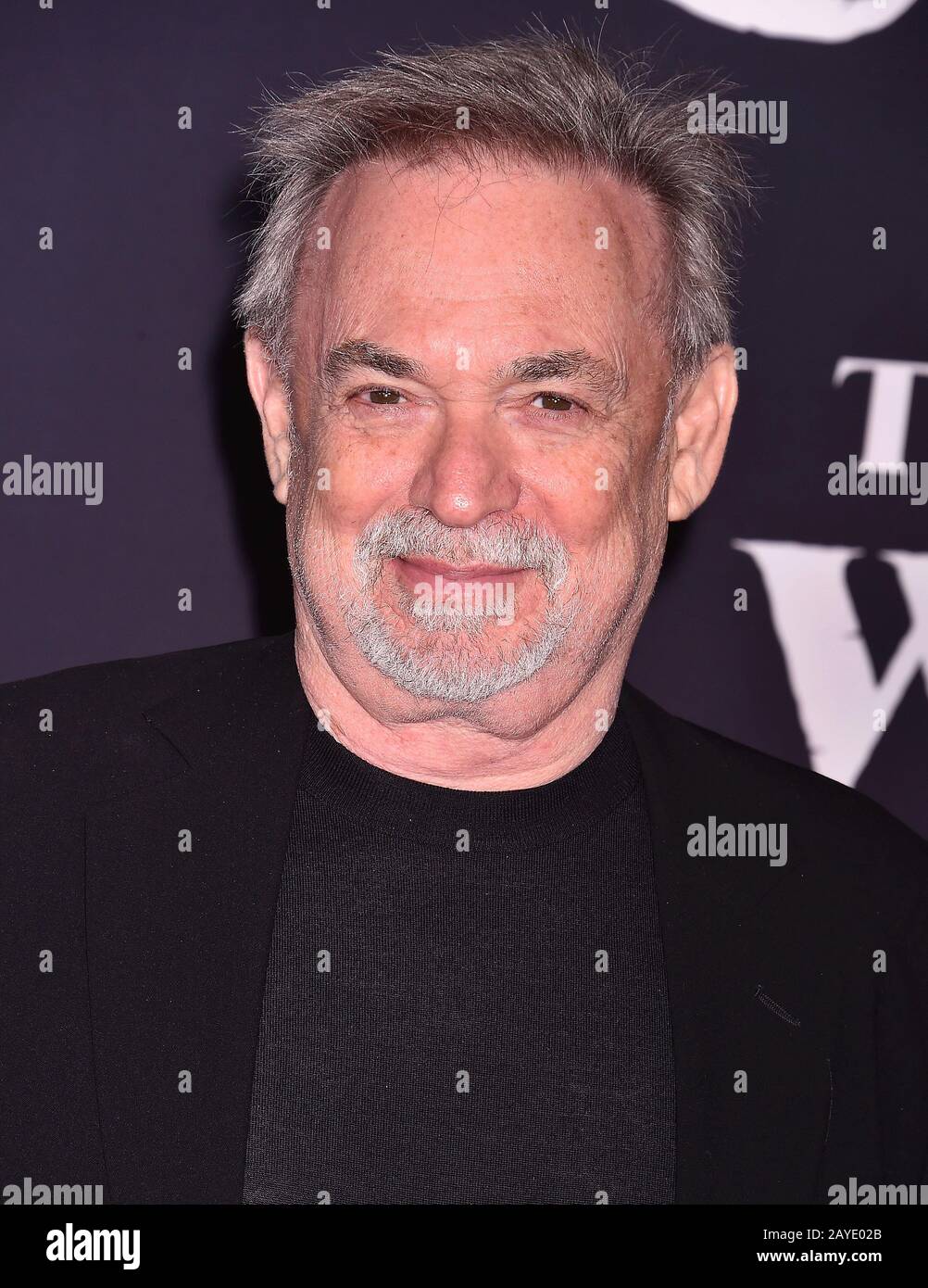 HOLLYWOOD, CA - FEBRUARY 13: Erwin Stoff attends the Premiere of 20th  Century Studios' "The Call of the Wild" at El Capitan Theatre on February  13, 2020 in Los Angeles, California Stock Photo - Alamy