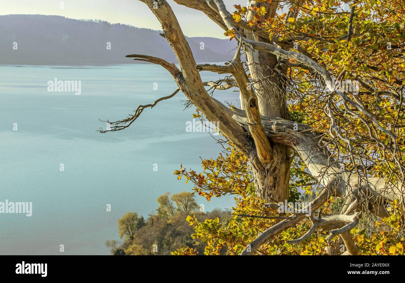 Golden autumn in Sipplingen at Lake Constance Stock Photo