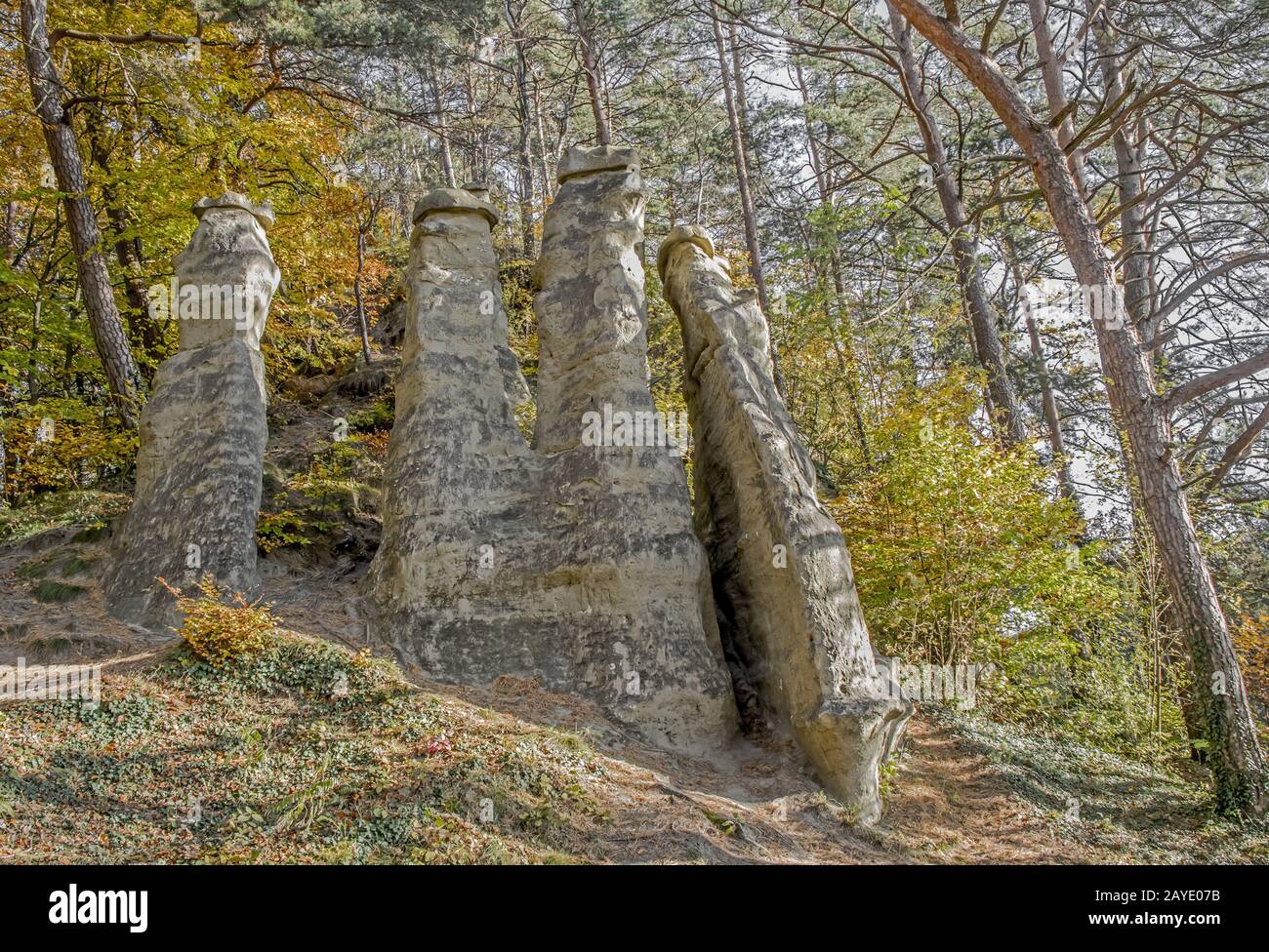 Die Sieben Churfirsten are rocks near Sipplingen at the Lake Constance Stock Photo