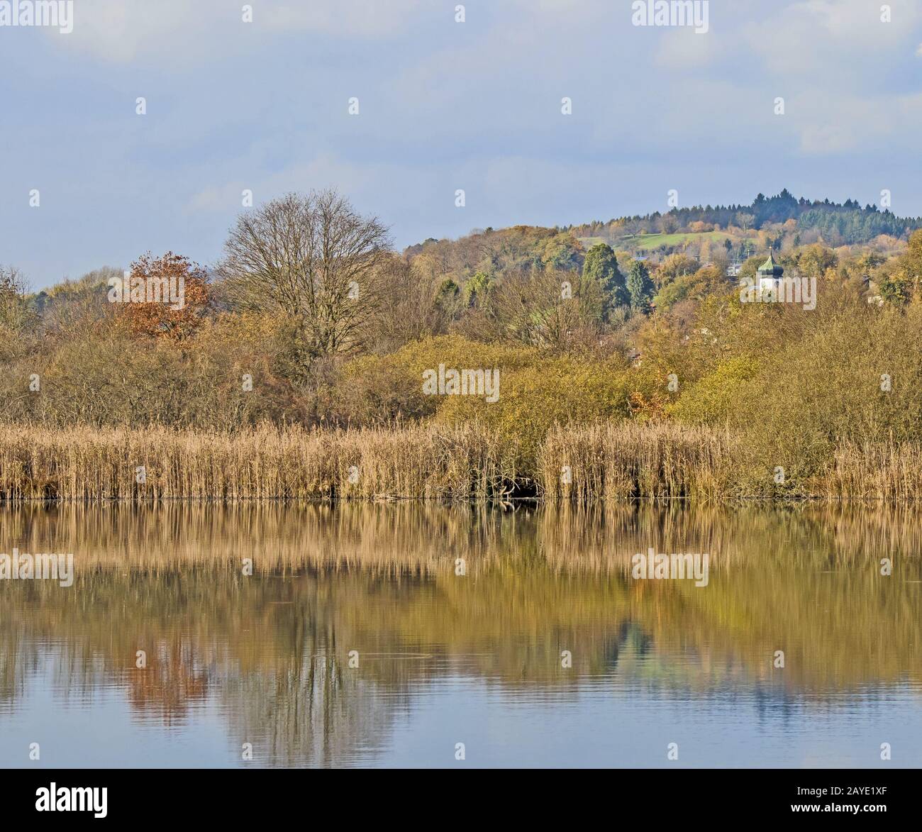 Mindesee near Radolfzell-Möggingen at the Lake Constance Stock Photo
