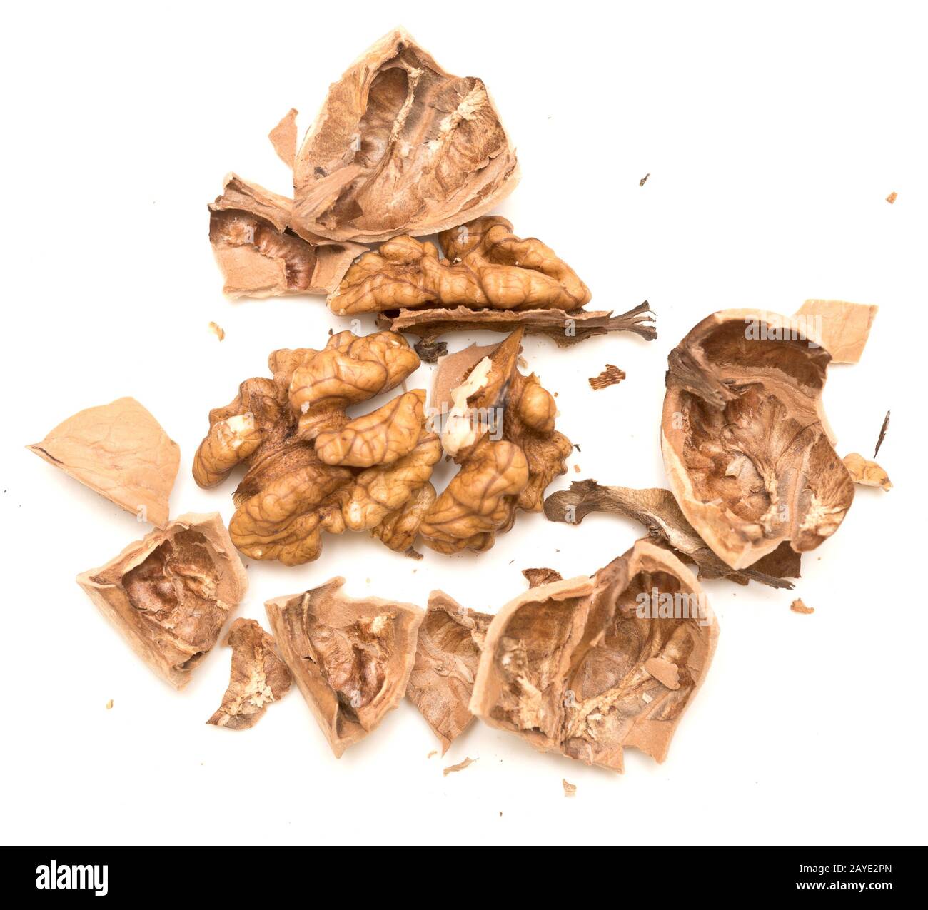 Walnut on white Stock Photo