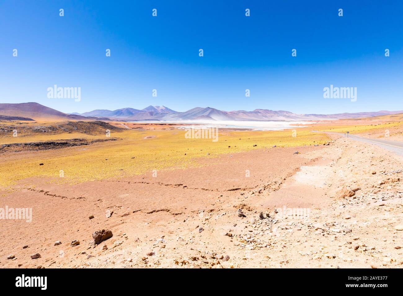 Chile Atacama desert red rocks panoramic view Stock Photo - Alamy