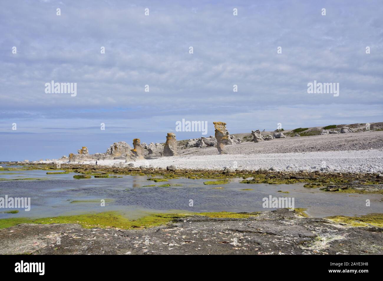 Rauks at Langhammars Stock Photo