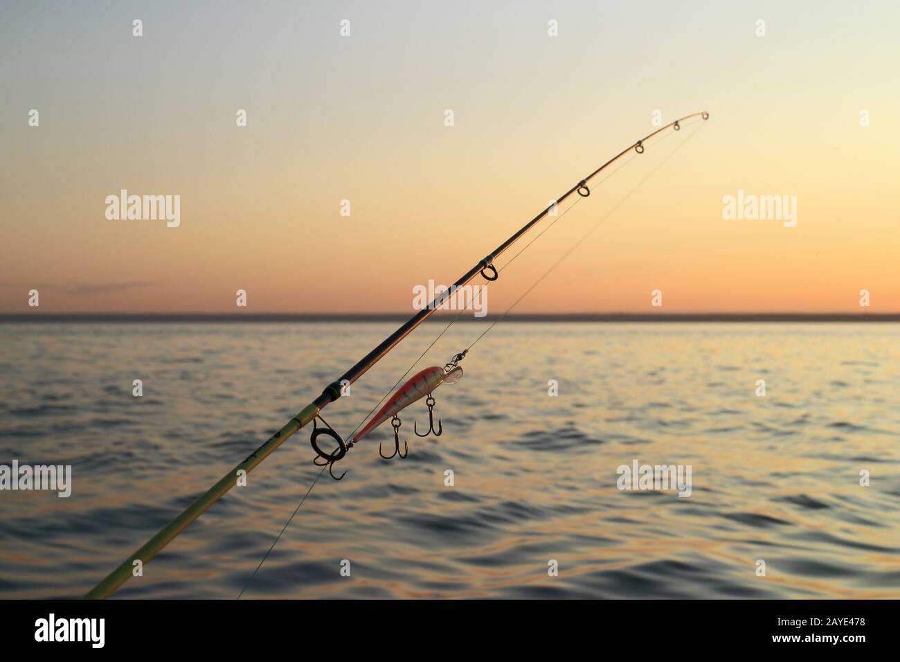evening fishing Stock Photo