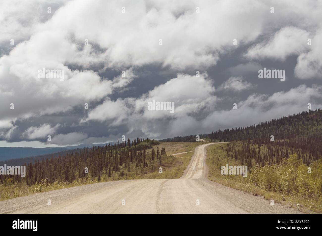 Road in Alaska Stock Photo - Alamy