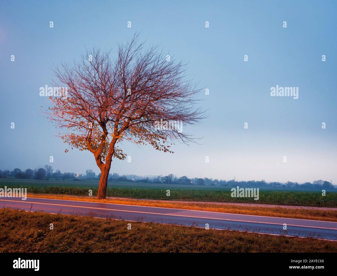 Lit street light hi-res stock photography and images - Alamy