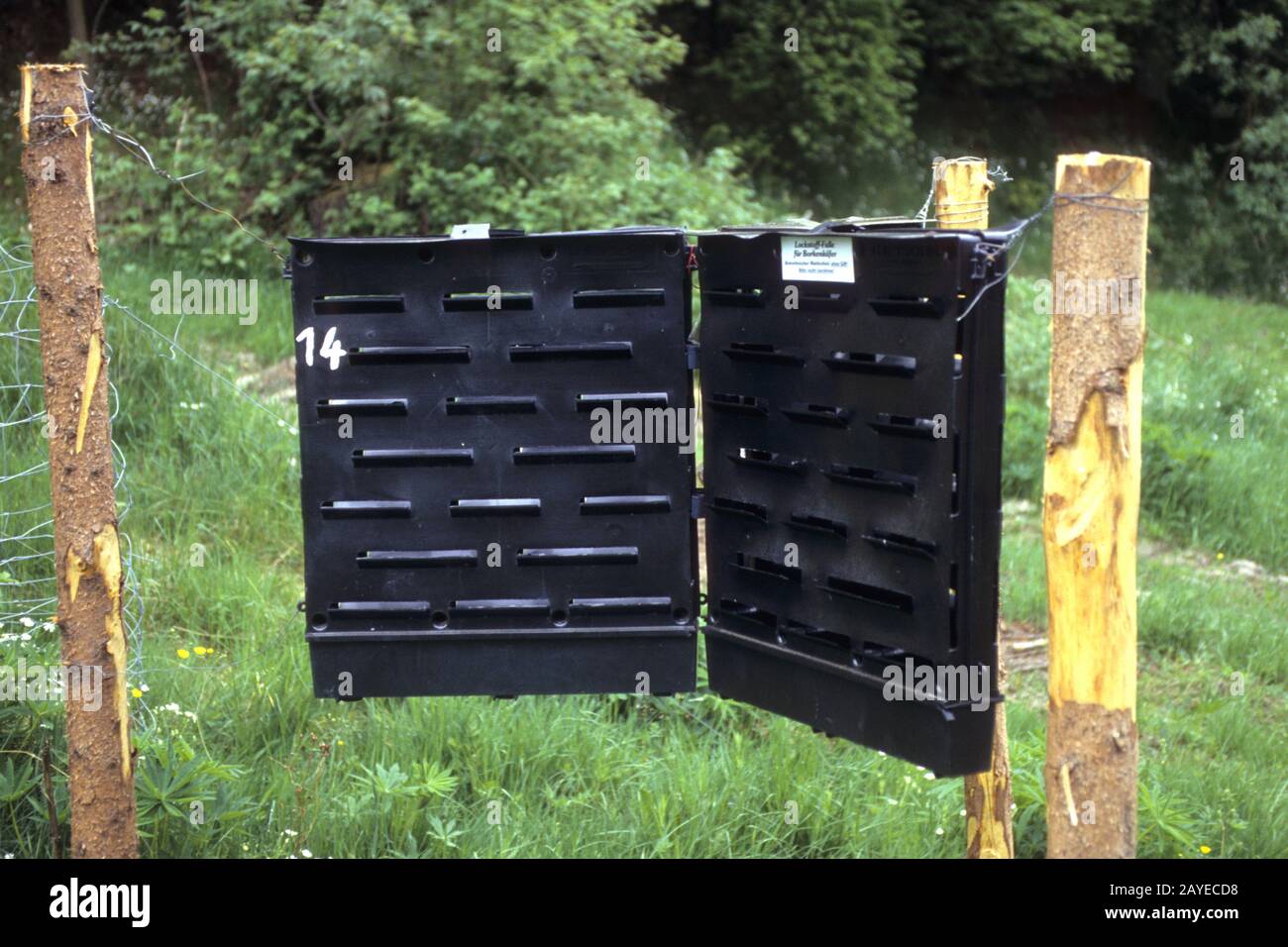 Bark beetle trap, bark beetle Stock Photo