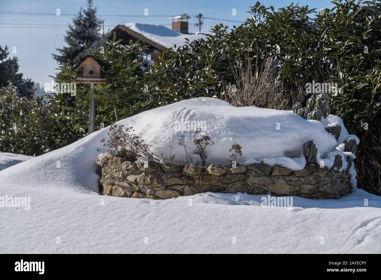 Herb garden covered with snowdrift and birdhouse - garden in winter Stock Photo