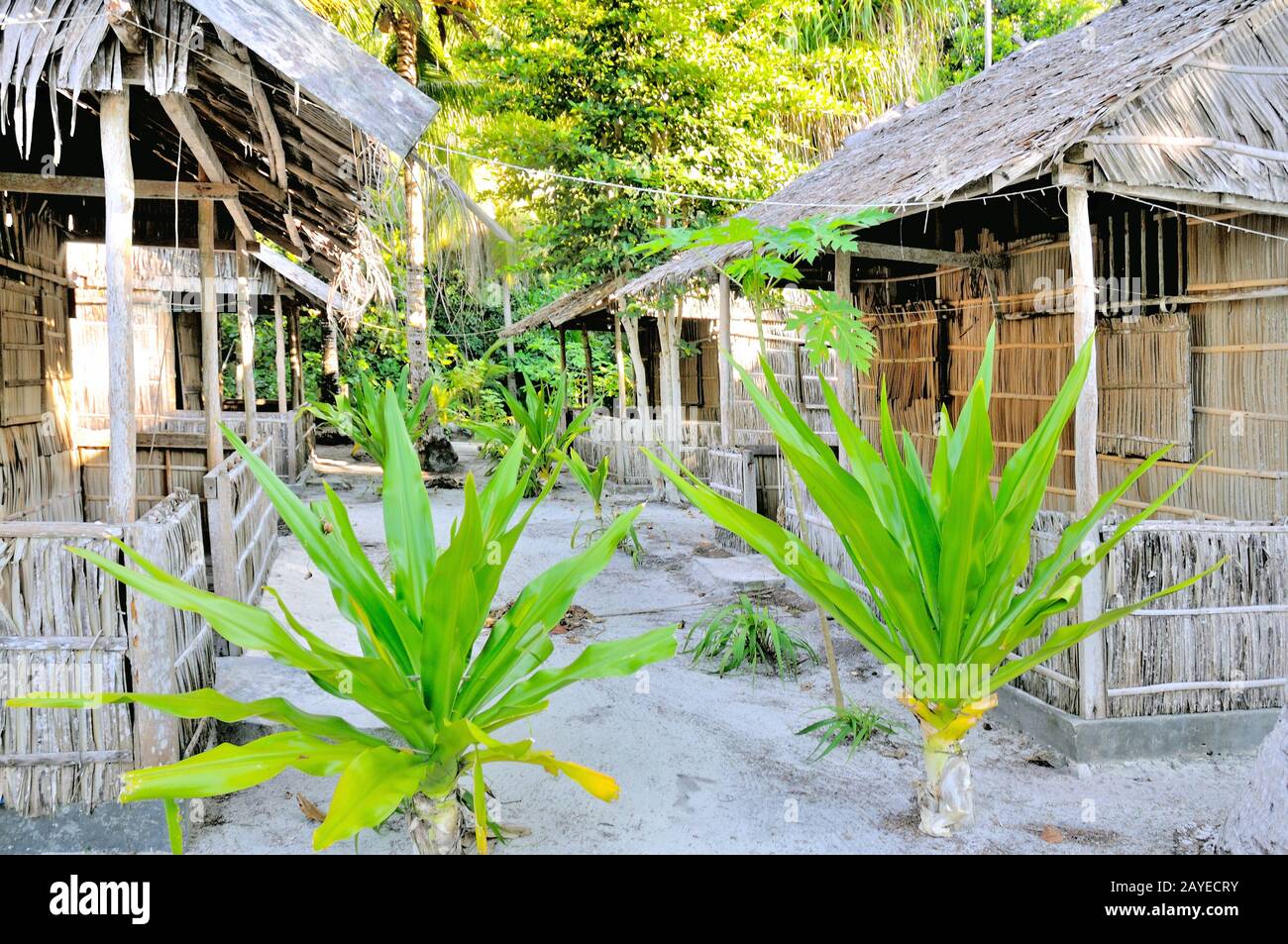 Huts in the primeval forest Kri Raja Ampat Indonesia Stock Photo