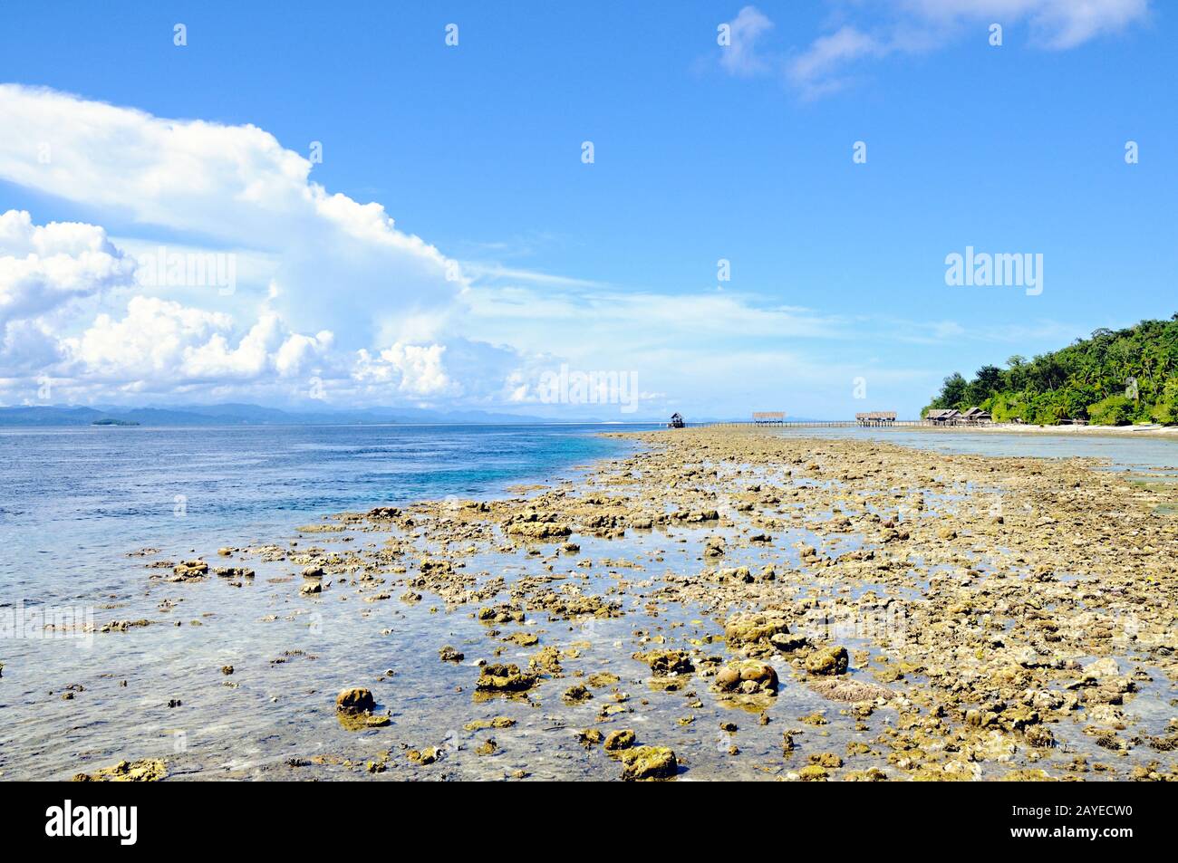 Reef at low tide on the island of Kri Raja Ampat Indonesia Stock Photo