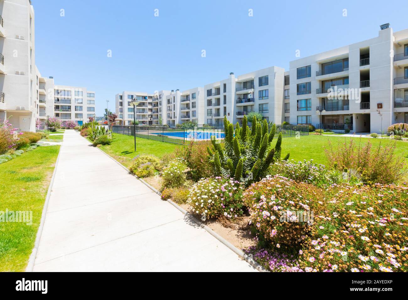 Chile La Serena condominiums with flower garden and pool Stock Photo Alamy