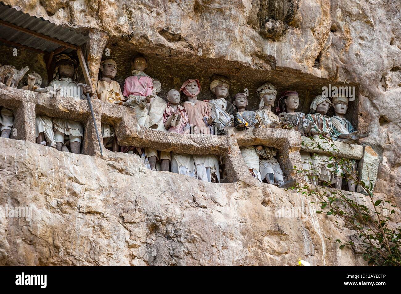Tau tau, wooden statues representing dead men at burial cave, Tana Toraja, South Sulawesi, Indonesia Stock Photo