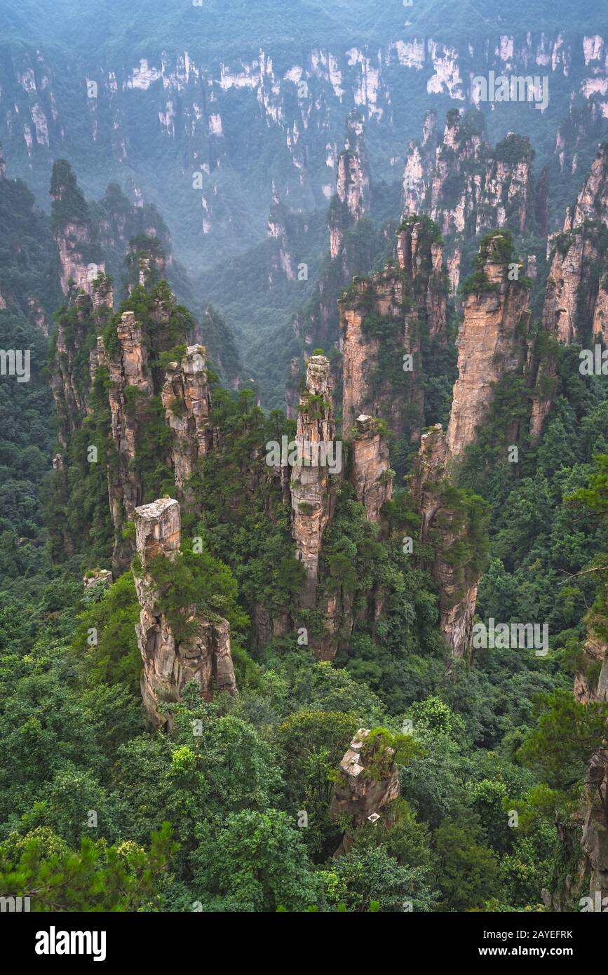Tianshi Pillar Vertical view of the stone pillars of Tianzi mountain Stock Photo - Alamy
