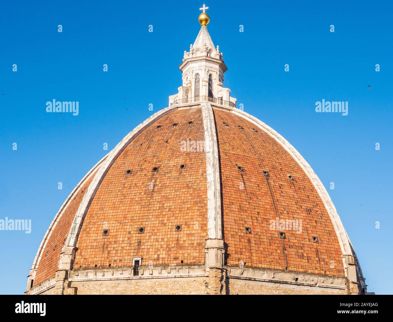 View of the Santa Maria del Fiore cathedral dome in Florence, Italy ...