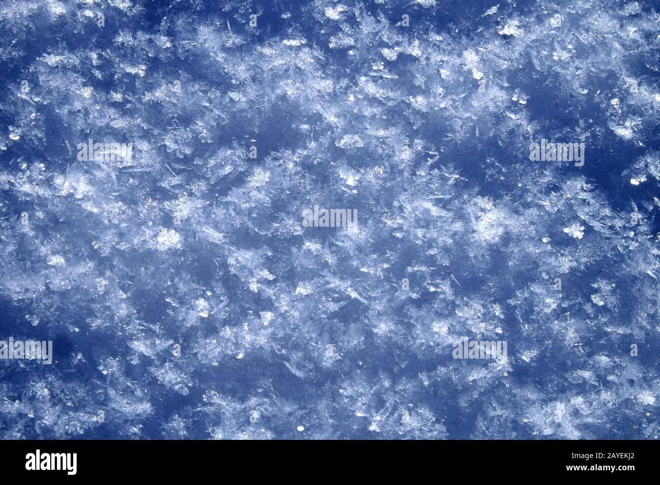 Untouched snow surface Stock Photo