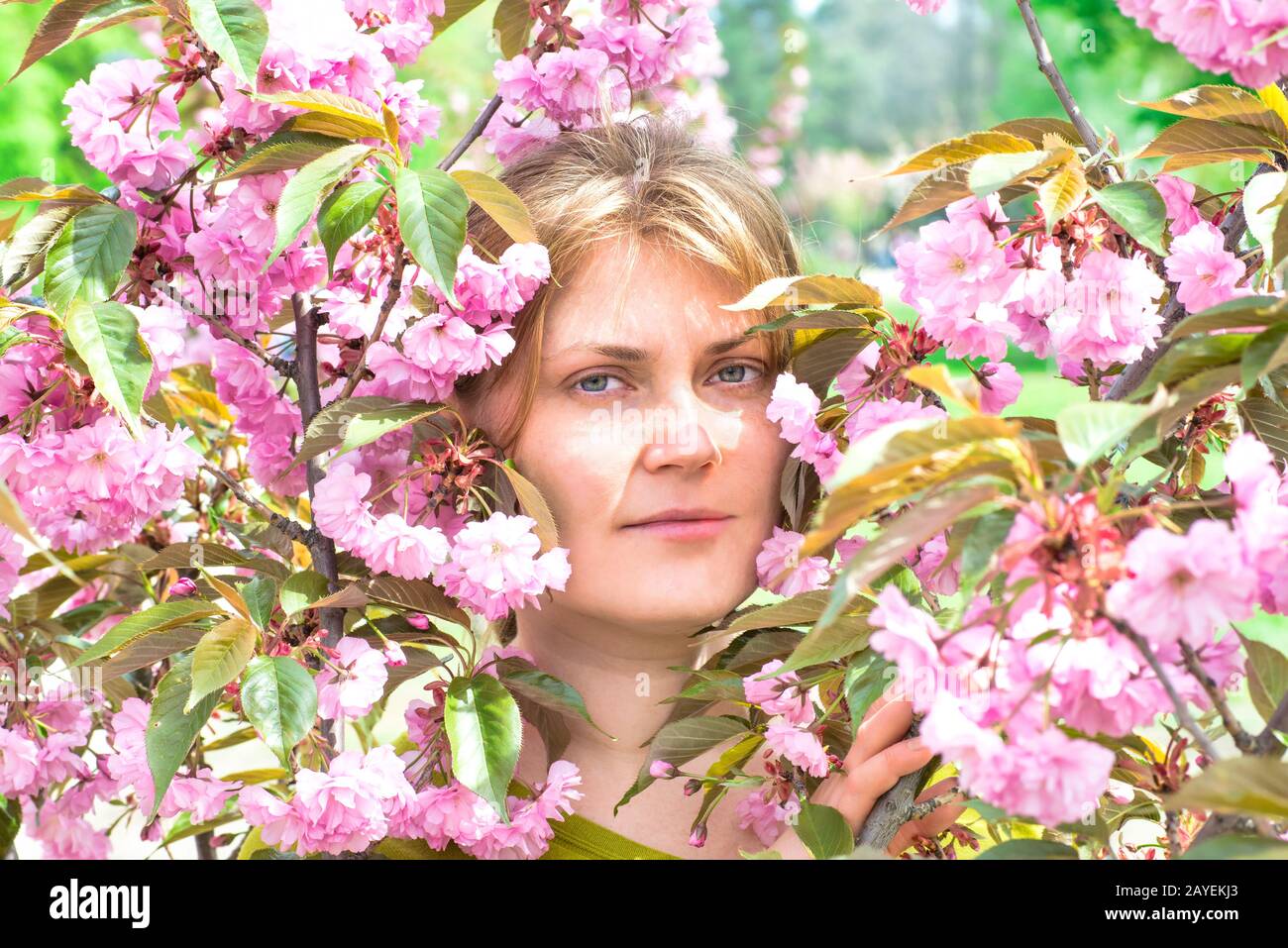 Young woman face in pink flowers Stock Photo