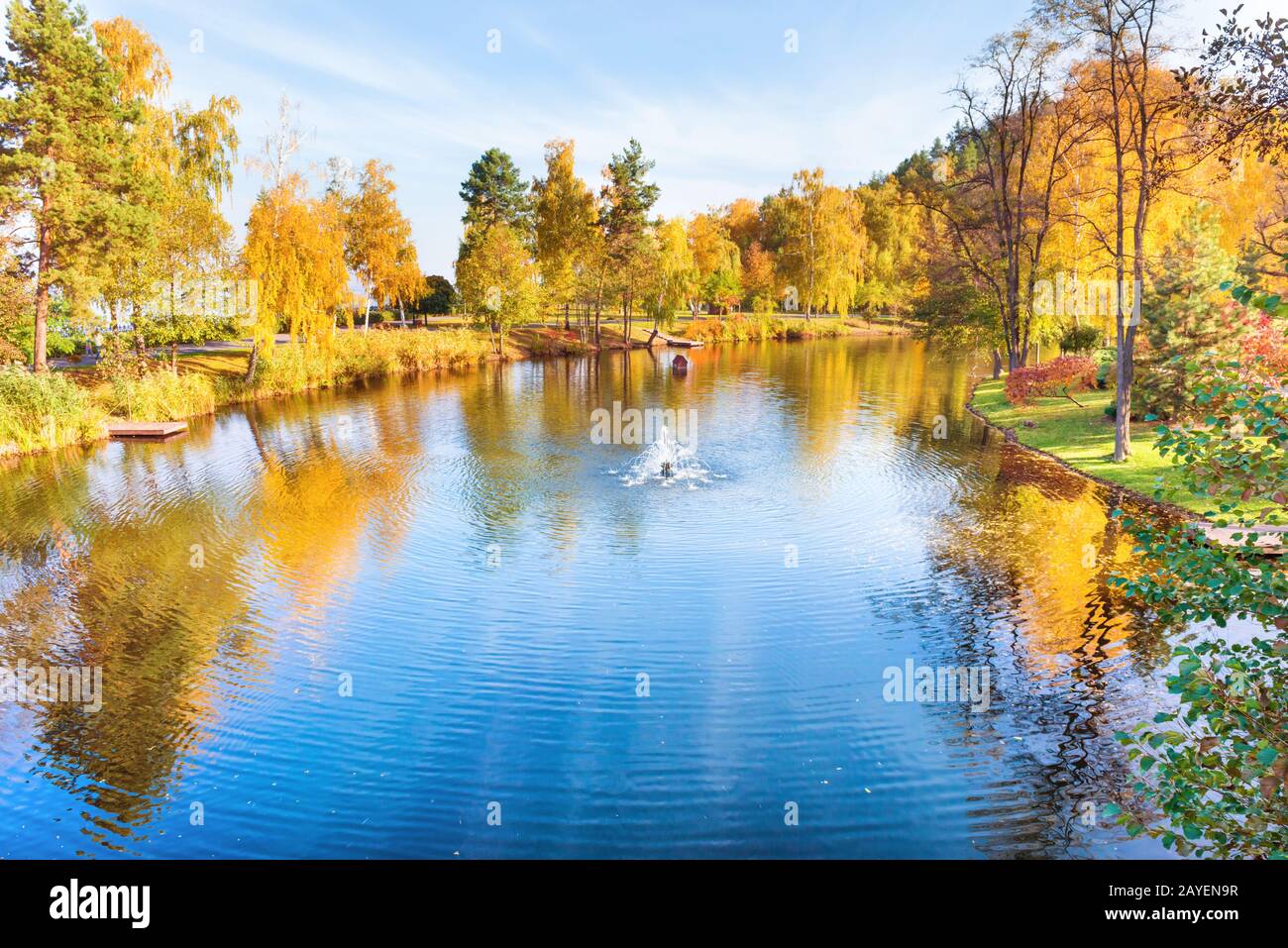Lake in park with autumn forest Stock Photo