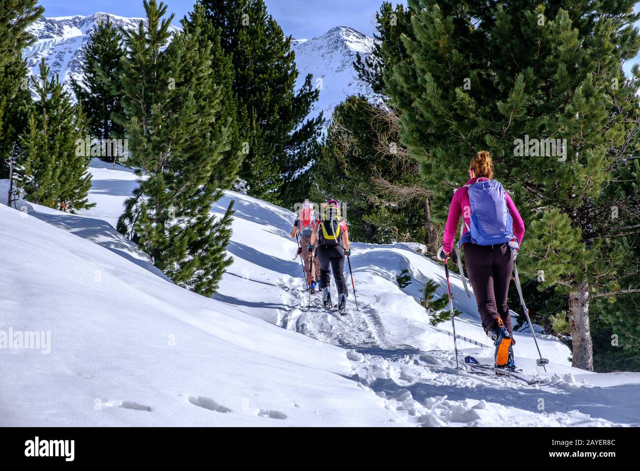 Backcountry ski in Valfurva, Cevedale, Italy Stock Photo