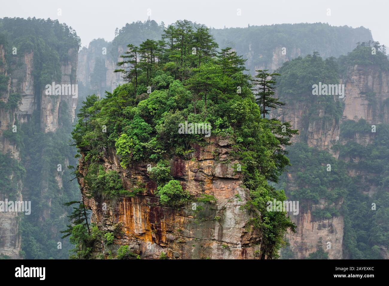 Tianzi Avatar mountains nature park - Wulingyuan China Stock Photo - Alamy