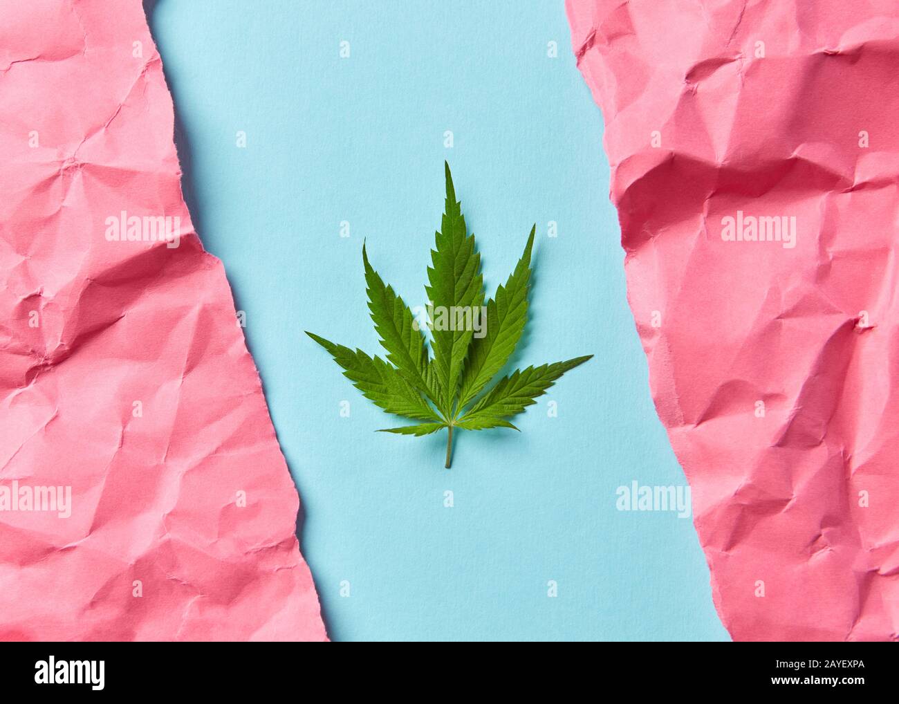 medical marijuana card high resolution stock photography and images alamy medical marijuana card high